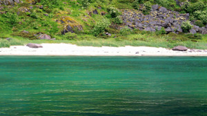 Norvegia, Isole Lofoten (2010)   (foto Giorgio Pagano)