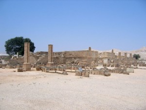 Palestina, Gerico, il Palazzo di Hisham   (2007)   (foto Giorgio Pagano)