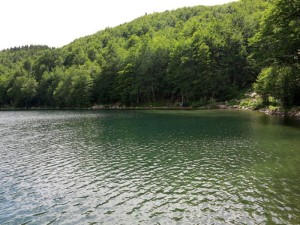 Lago Santo, veduta dal rifugio Mariotti (2014) (foto Giorgio Pagano)