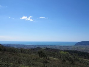 Veduta della Val di Magra dalle "Colline del sole", nel sentiero tra Castelnuovo e Vallecchia  (2015)   (foto Giorgio Pagano)