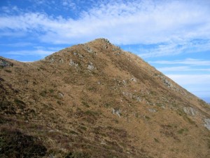 Mostra fotografica "Sixty" di Giorgio Pagano, 18 ottobre - 22 novembre 2014, Archivi multimediali Sergio Fregoso: Paesaggi naturali, Appennino, da Sassalbo a Torsana, i pendii del monte Punta Buffanaro (2007)