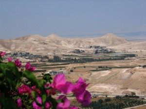 Palestina, Veduta di Gerico dal Monte delle Tentazioni   (2007)  (foto Giorgio Pagano)