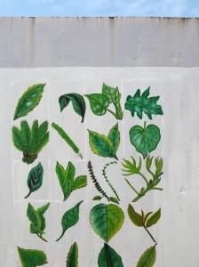 Sao Tomè, murale che raffigura le piante commestibili e medicinali   (foto Giorgio Pagano)