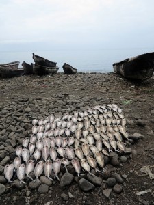 Spiaggia di Neves, pesce appena pescato    (foto Giorgio Pagano)