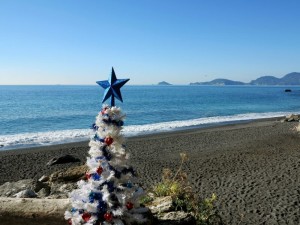 "Albero di Natale nella spiaggia di Punta Corvo"   (2015)   (foto Giorgio Pagano)