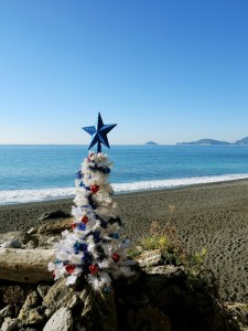 "Albero di Natale nella spiaggia di Punta Corvo"   (2015)   (foto Giorgio Pagano)