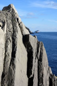 Riomaggiore, Punta Pineda    (2016)    (foto Giorgio Pagano)