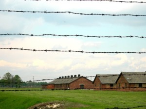 Auschwitz  (2005)    (foto Giorgio Pagano)