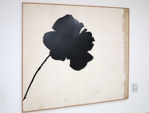 Milano, Museo del Novecento: "La rosa nera" di Jannis Kounellis    (2014)    (foto Giorgio Pagano)