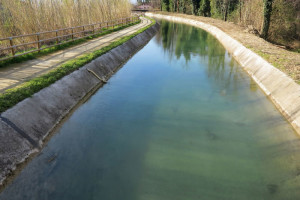 Mostra fotografica "La città segnata", Spazio 32 - Biblioteca della Fondazione Carispezia, 4 maggio - 13 maggio 2017: "La valle dell'acqua. Il Canale Lunense"    (foto Giorgio Pagano)