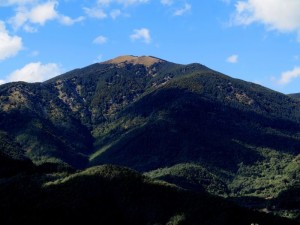 Monte Gottero, veduta da Antessio    (2017)    (Giorgio Pagano)