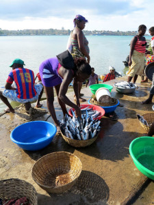 Sao Tomé, le palaié (venditrici di pesce) si riforniscono di pesce appena pescato    (2015)    (foto Giorgio Pagano)