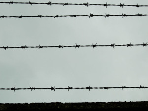 Auschwitz-Birkenau  (2005)  (foto Giorgio Pagano)