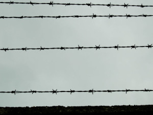 Auschwitz-Birkenau  (2005)  (foto Giorgio Pagano)