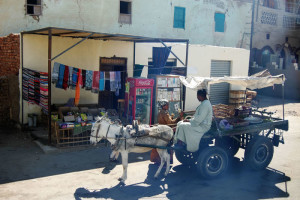 Egitto, Luxor (2012) (foto Giorgio Pagano)