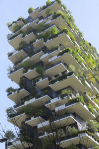 Milano, Bosco verticale (2017) (foto Giorgio Pagano)