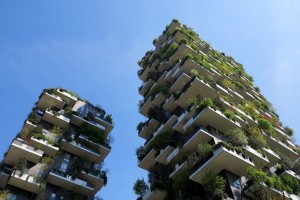 Milano, Bosco verticale (2017) (foto Giorgio Pagano)